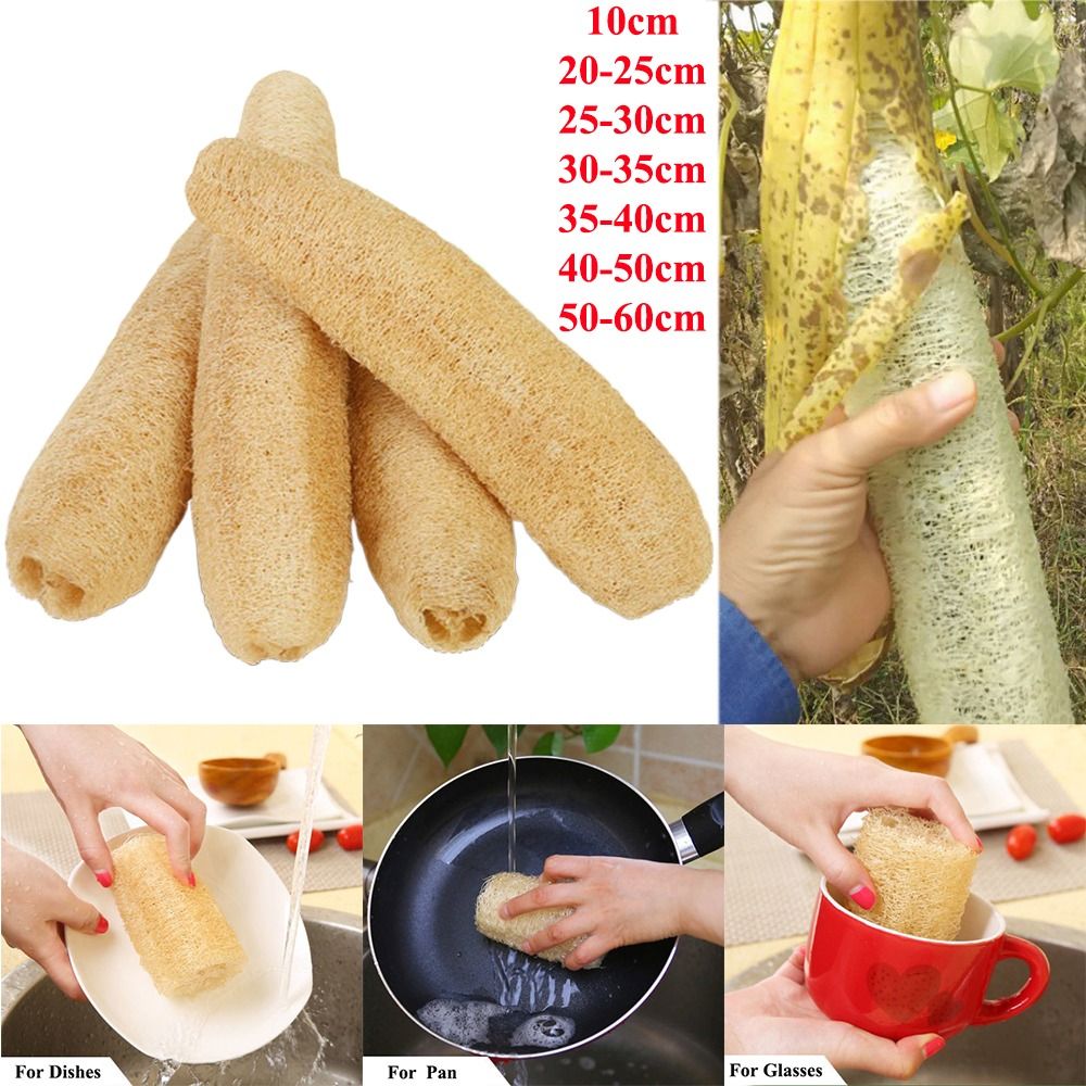 Natural Loofah Luffa Sponge No – Body Loofah Natural Bewertung und Preis