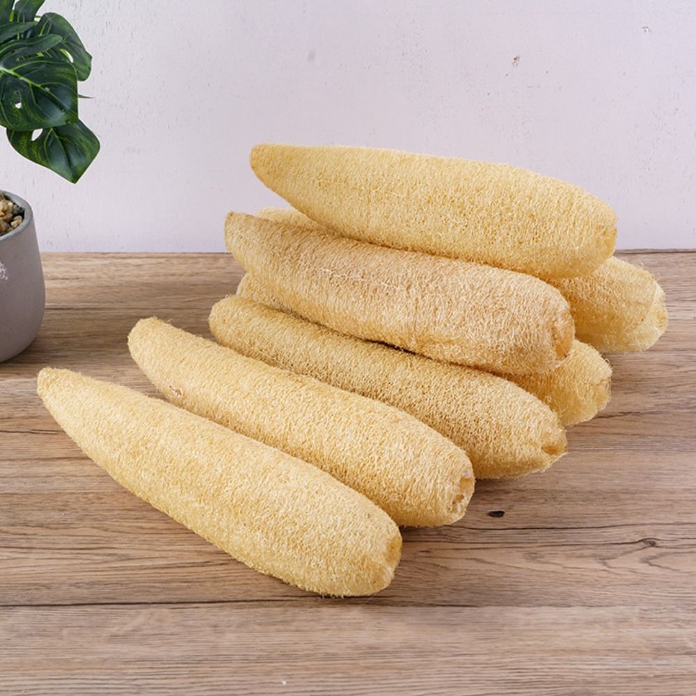Natural Loofah Luffa Sponge No – Body Loofah Natural Bewertung und Preis