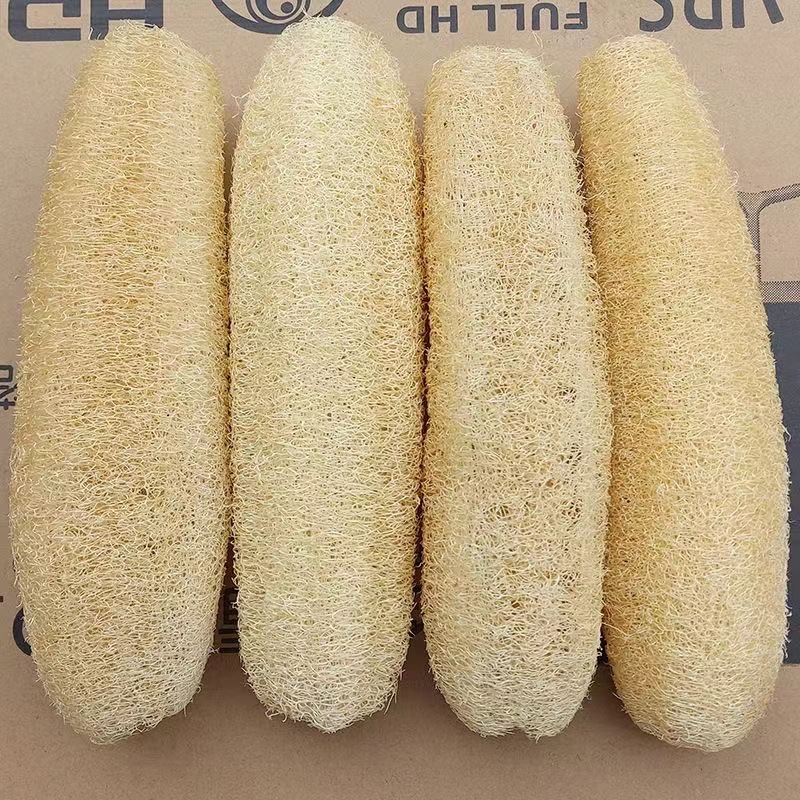 1/3Pcs Natural Loofah Sponge M – Body Loofah Natural Bewertung und Preis