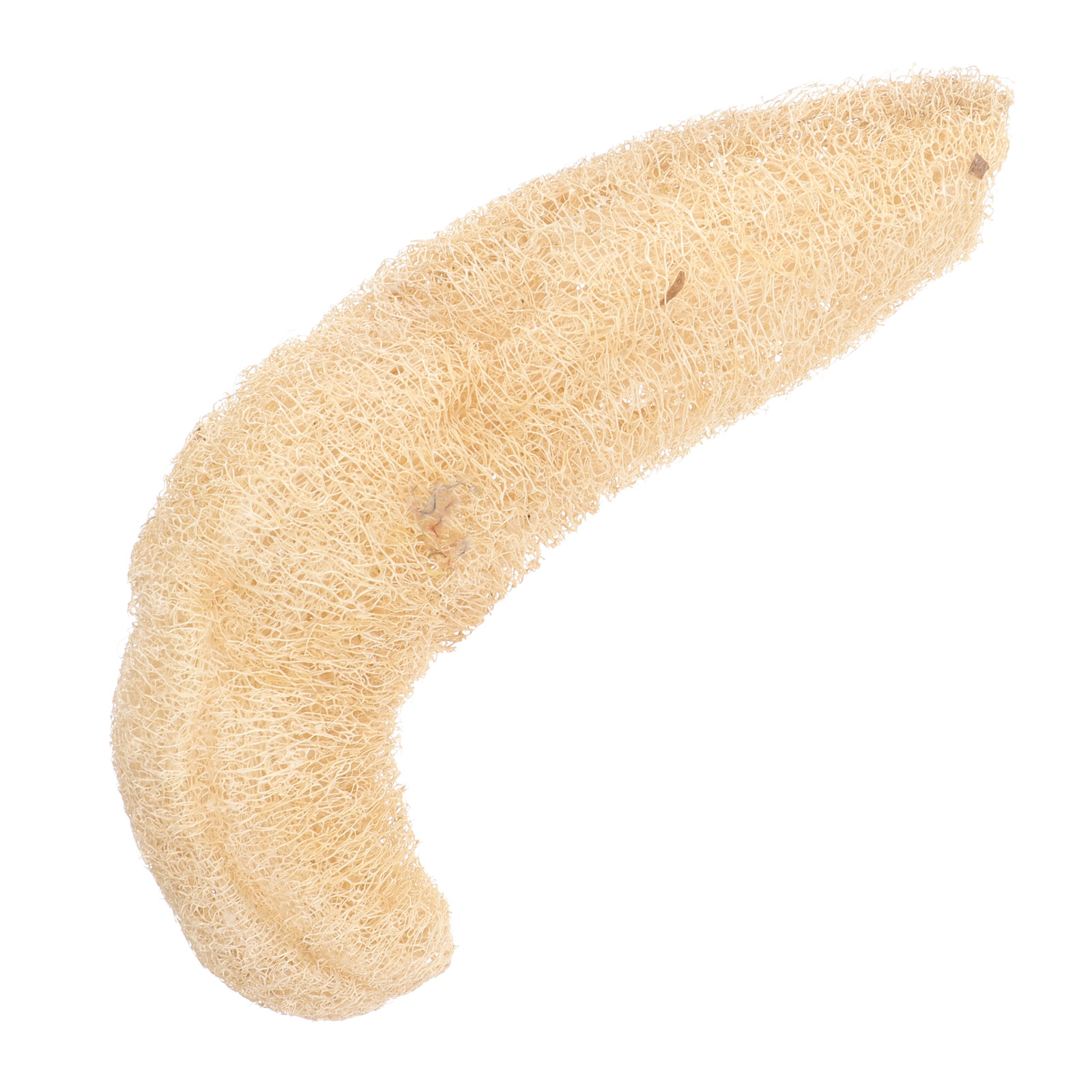 1Pcs Natural Loofah Shower Spo – Body Loofah Natural Bewertung und Preis